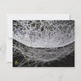 Dew Drop Water Hammock Spider Web Postkarte
