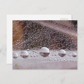 Dew Drop Yin Yang Nature Meditation Postkarte (Vorne/Hinten)