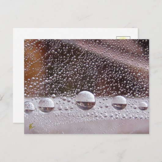 Dew Drop Yin Yang Nature Meditation Postkarte (Vorne/Hinten)