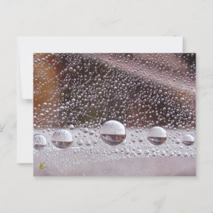 Dew Drop Yin Yang Nature Meditation Postkarte