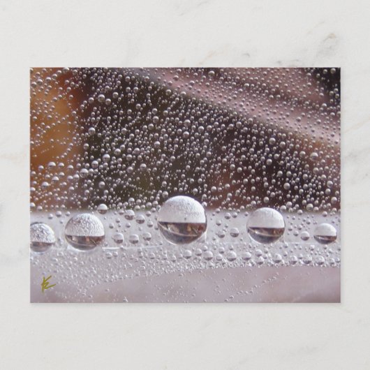 Dew Drop Yin Yang Nature Meditation Postkarte (Vorderseite)