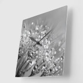 Dew Drops Black and White Quadratische Wanduhr (Winkel)