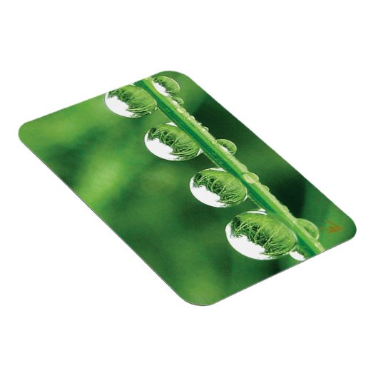 Dew Drops On Green Grass Elegant Nature Magnet (Rechte Seite)