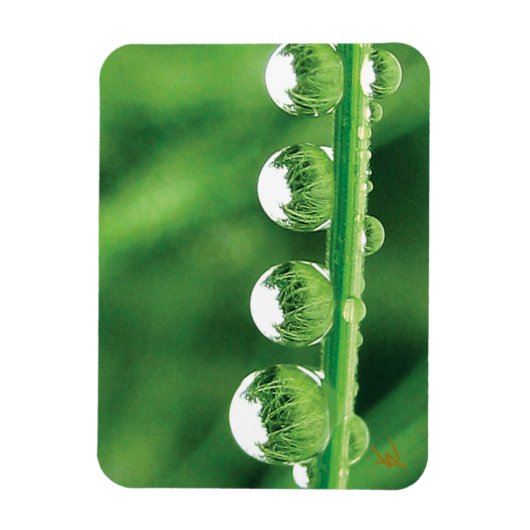 Dew Drops On Green Grass Elegant Nature Magnet (Vertikal)