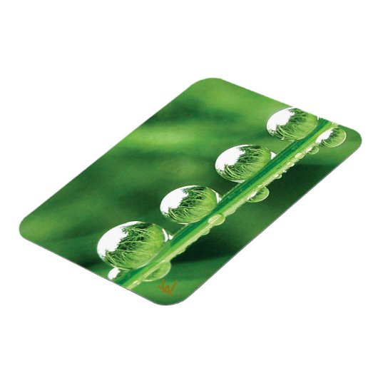 Dew Drops On Green Grass Elegant Nature Magnet (Linke Seite)