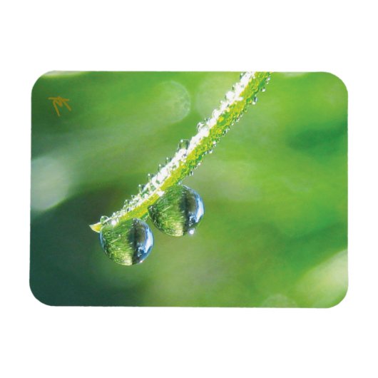 Dew Drops on Green Grass Peaceful Nature Magnet (Horizontal)