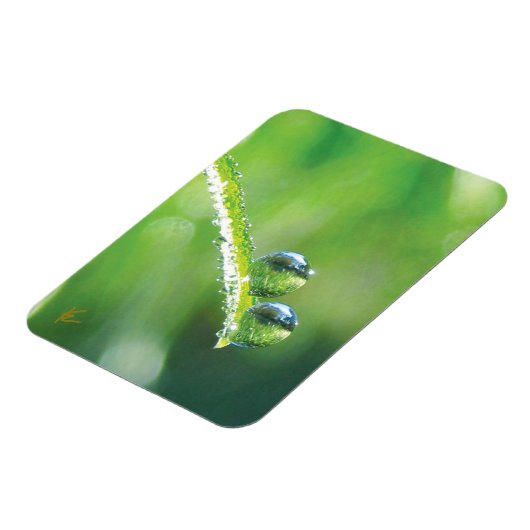 Dew Drops on Green Grass Peaceful Nature Magnet (Linke Seite)
