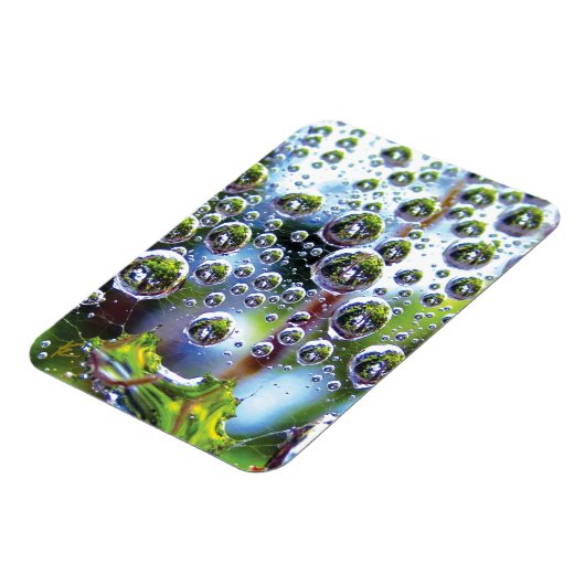 Dew Drops on Spider Web Amazing Nature Magnet (Linke Seite)