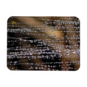 Dew Drops Sparkle on Spider Web Meditation Magnet (Horizontal)