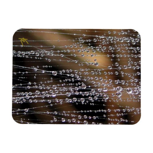 Dew Drops Sparkle on Spider Web Meditation Magnet (Horizontal)