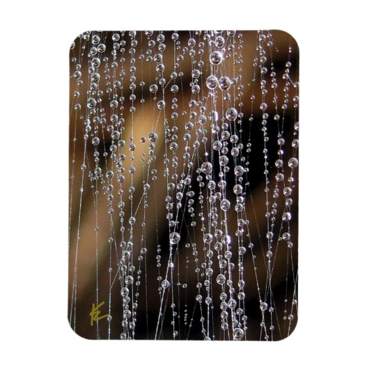 Dew Drops Sparkle on Spider Web Meditation Magnet (Vertikal)