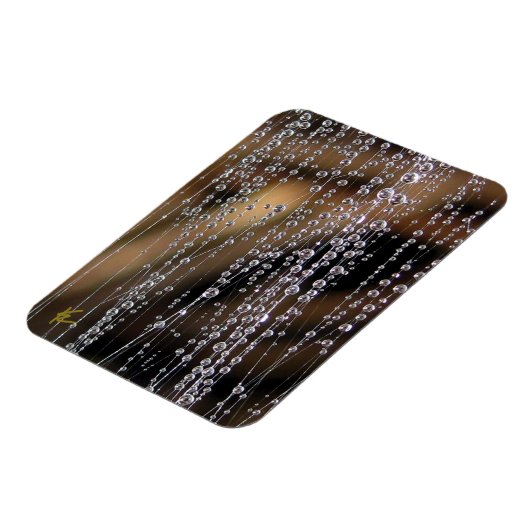 Dew Drops Sparkle on Spider Web Meditation Magnet (Linke Seite)