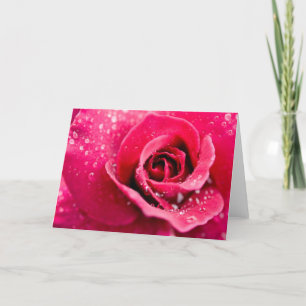 Dew fällt auf Rose Grußkarte ab Karte