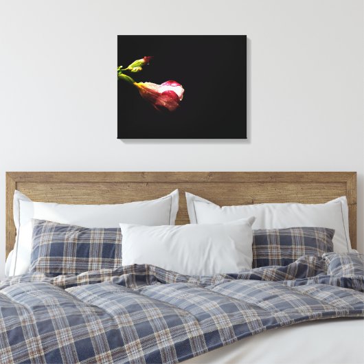 Dew-Kissed Allamanda im Dunkeln Leinwanddruck (Insitu (Schlafzimmer))