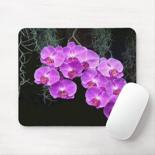 Dew-Kissed Orchids Mousepad (Mit Mouse)