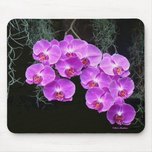 Dew-Kissed Orchids Mousepad (Vorne)