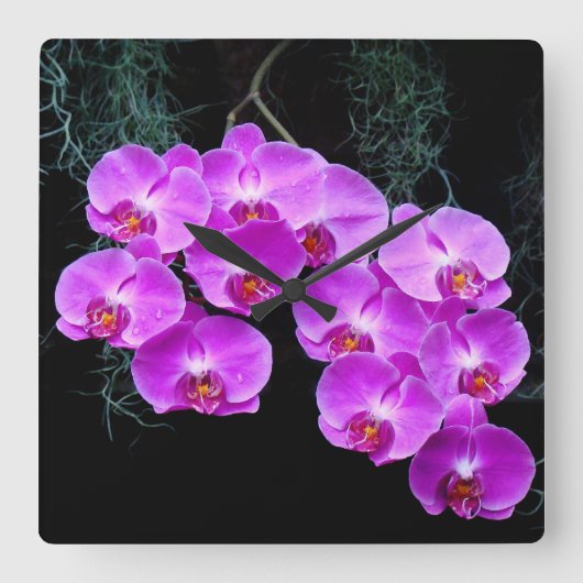 Dew-Kissed Orchids Wall Clock Quadratische Wanduhr (Vorderseite)