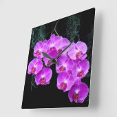 Dew-Kissed Orchids Wall Clock Quadratische Wanduhr (Winkel)