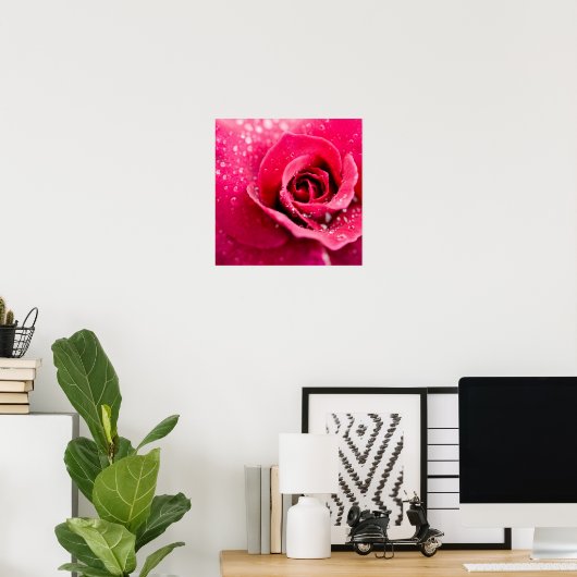 Dew Tropfen auf Rose Poster (Heimbüro)