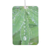 Dewdrop Autolufterfrischer (Vorderseite)