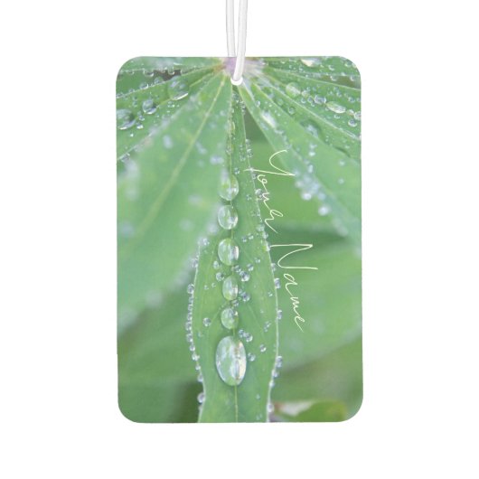 Dewdrop Autolufterfrischer (Rückseite)