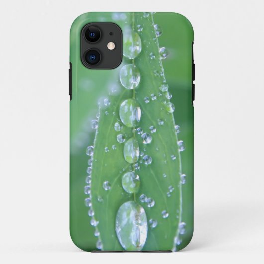 Dewdrop Case-Mate iPhone Hülle (Rückseite)