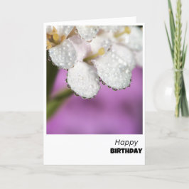 Dewdrop Delight Birthday Card Dankeskarte