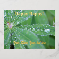 Dewdrop