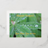 Dewdrop Folien Feiertagspostkarte (Vorderseite/Rückseite)