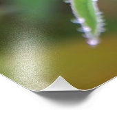 Dewdrop Fotodruck (Ecke)