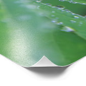 Dewdrop Fotodruck (Ecke)