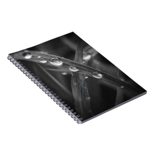 Dewdrop Grass Blade Macro Notebook Notizblock (Rechte Seite)