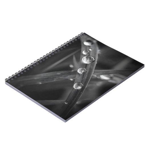 Dewdrop Grass Blade Macro Notebook Notizblock (Linke Seite)