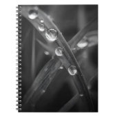 Dewdrop Grass Blade Macro Notebook Notizblock (Vorderseite)