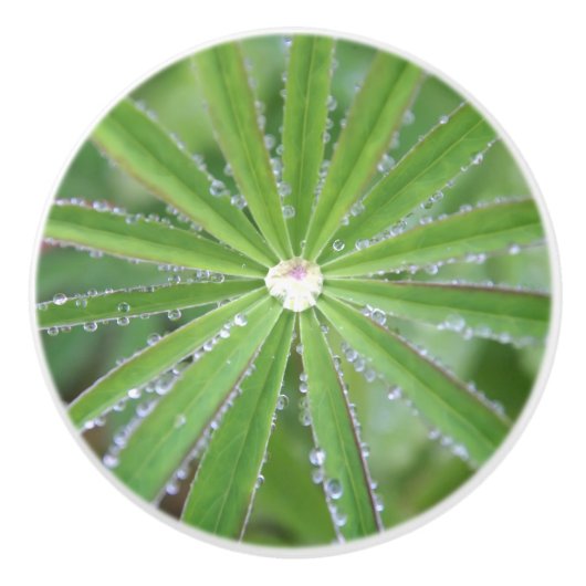 Dewdrop Keramikknauf (Vorderseite)