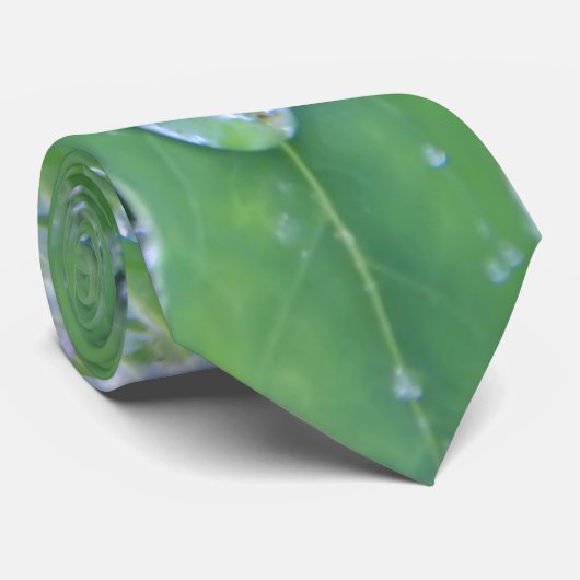 Dewdrop Krawatte (Gerollt)