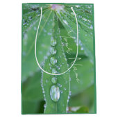 Dewdrop Mittlere Geschenktüte (Vorderseite)
