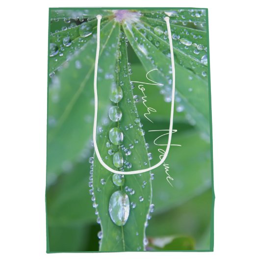 Dewdrop Mittlere Geschenktüte (Rückseite)