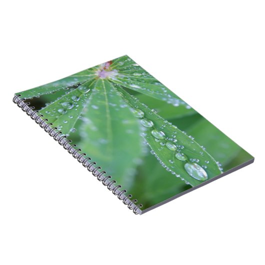 Dewdrop Notizblock (Rechte Seite)