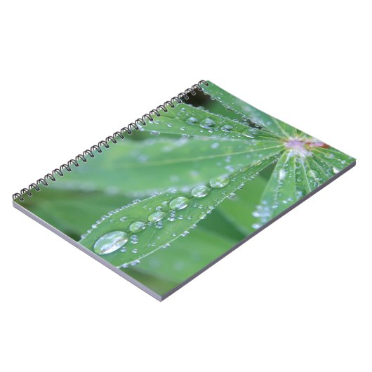 Dewdrop Notizblock (Linke Seite)