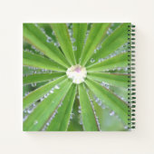 Dewdrop Notizblock (Rückseite)