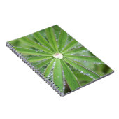 Dewdrop Notizblock (Rechte Seite)