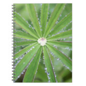 Dewdrop Notizblock (Vorderseite)