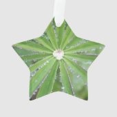 Dewdrop Ornament (Rückseite)
