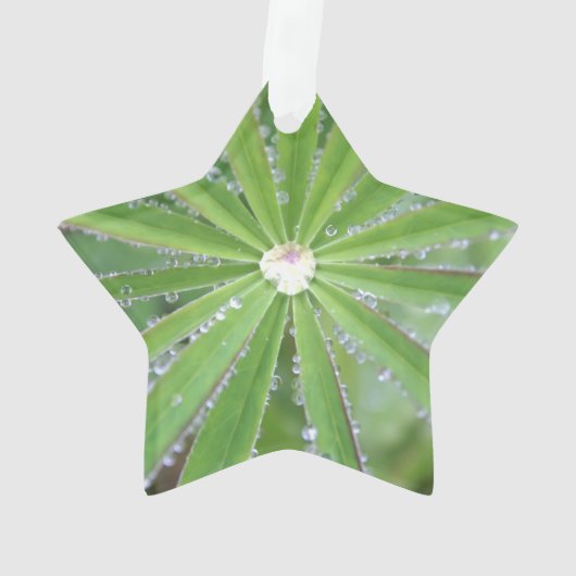 Dewdrop Ornament (Rückseite)