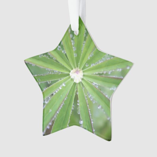 Dewdrop Ornament (Vorderseite)
