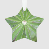 Dewdrop Ornament (Vorderseite)