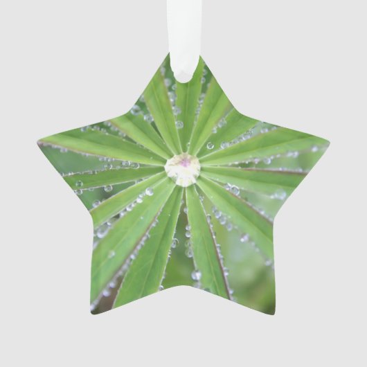 Dewdrop Ornament (Vorderseite)