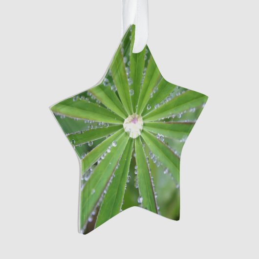 Dewdrop Ornament (Vorderseite)