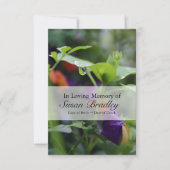 Dewdrop Pansy Feier zum Leben Einladung (Vorderseite)